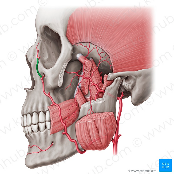 a27d24 8549a16308974d32aac8bee7956bfec3mv2
