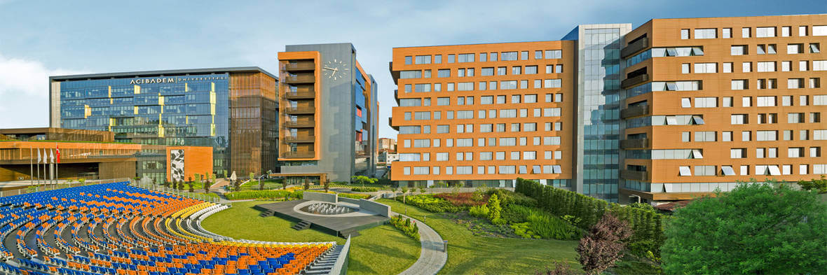 acibadem university medicine turkey