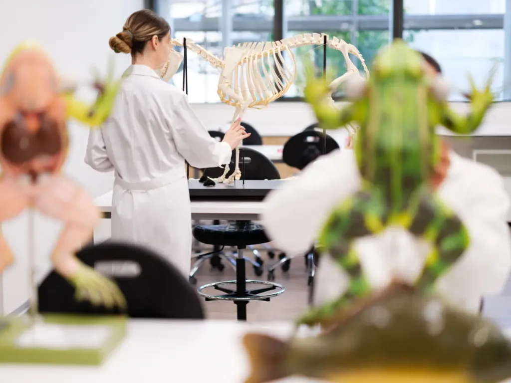 EUC veterinary 20240417 SR 005