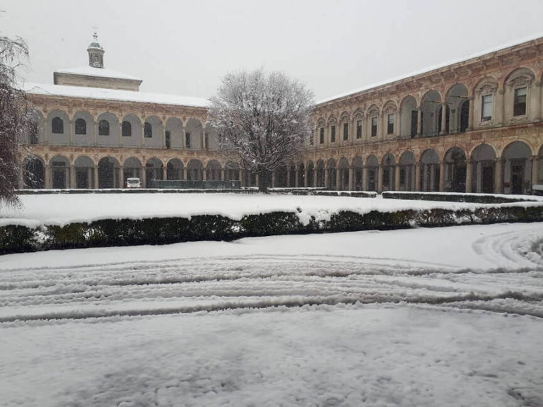 International Medical University in Milan