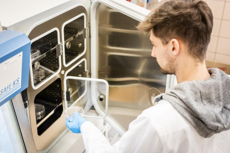 Medical University Of Bialystok Technology