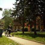 Study at The University of Veterinary Medicine and Pharmacy in Kosice