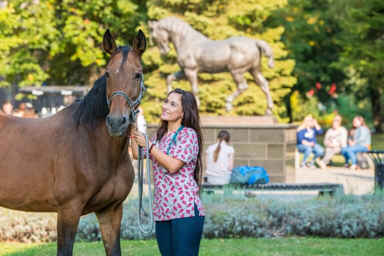 The University of Veterinary Medicine and Pharmacy in Kosice students