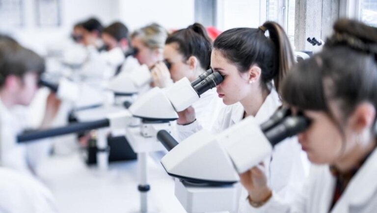 Università Cattolica Del Sacro Cuore Microscope Students