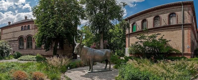 University of Veterinary Medicine Budapest