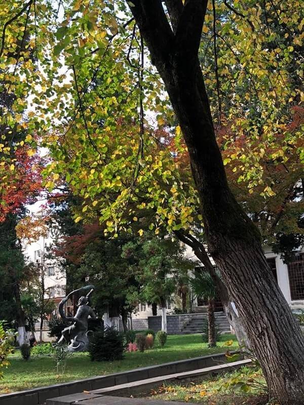 Akaki Tsereteli State University medicine in english in georgia