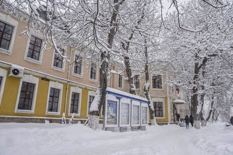 study medicine at State University of Medicine and Pharmacy Nicolae Testemitanu