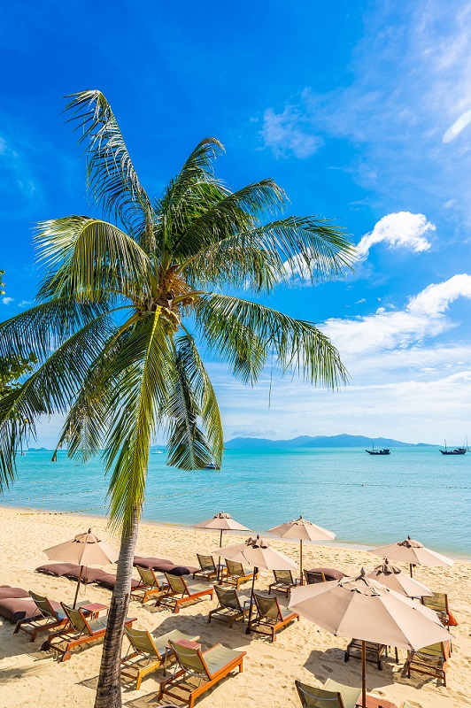 Beautiful tropical beach sea and ocean with coconut palm tree  a