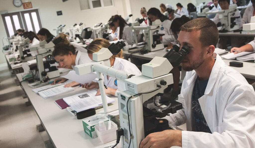 Students using a microscope