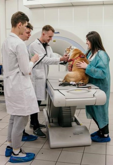 Study Veterinary Medicine in Poland in English - Graduates