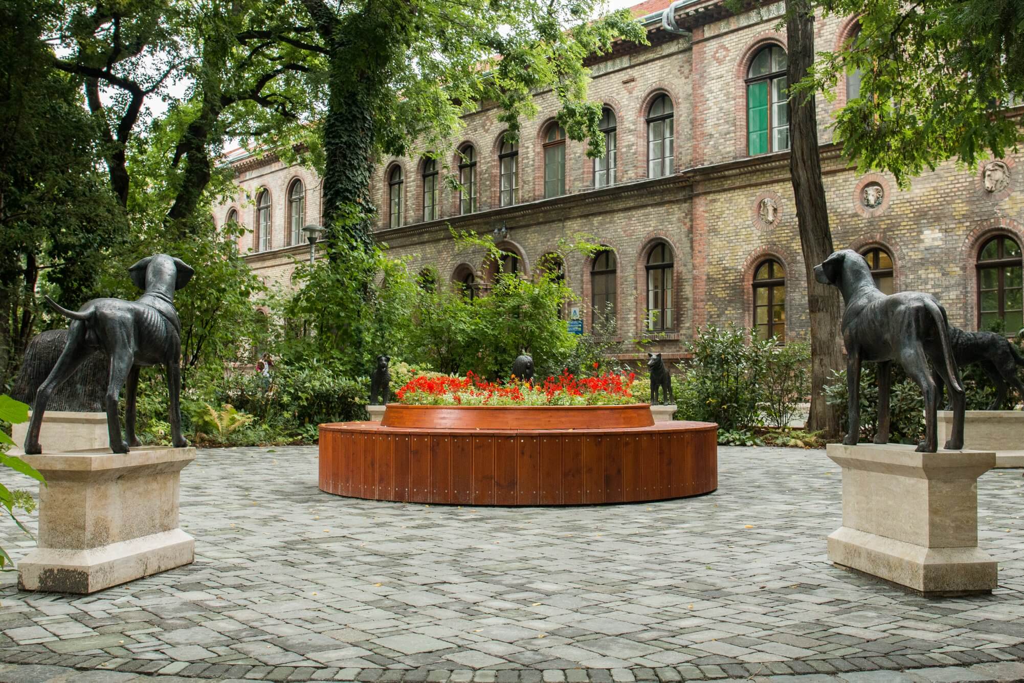 Study at the University of Veterinary Medicine Budapest