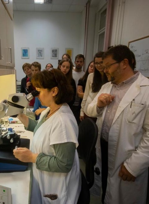 University of Veterinary Medicine Budapest Animal Skeleton Lecture
