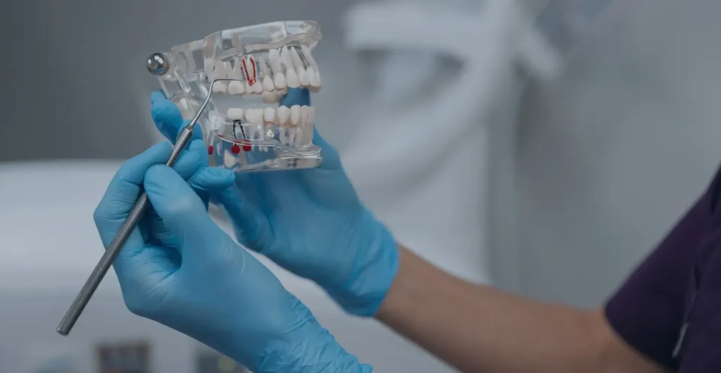 Dentistry Programme in English at ASOMI College of Sciences