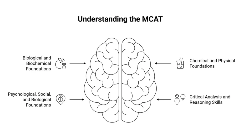 understanding the mcat