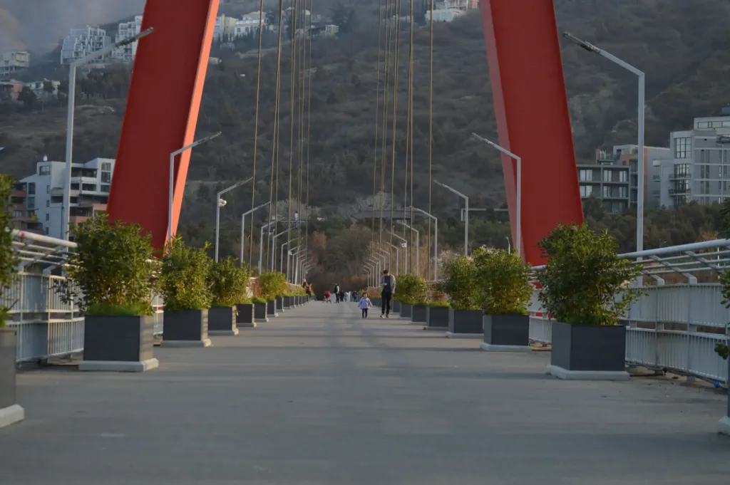 Admission Requirements for Medical Universities in Georgia