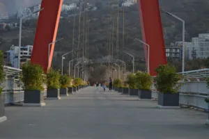 Admission Requirements for Medical Universities in Georgia